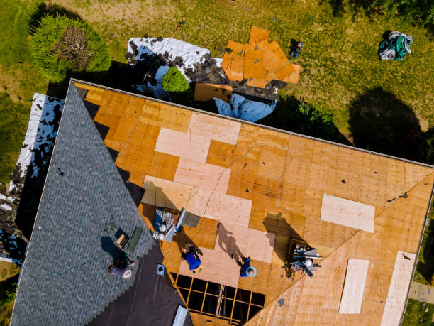 Best Residential Roofing Contractor  in Port Byron, IL