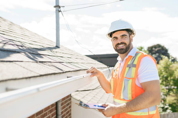 Best Roof Gutter Cleaning  in Port Byron, IL