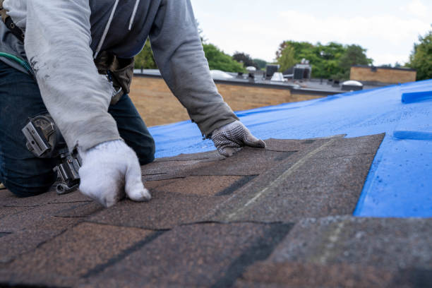 Best Roof Maintenance Services  in Port Byron, IL