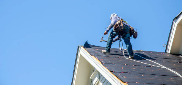 Best Roof Restoration Services  in Port Byron, IL